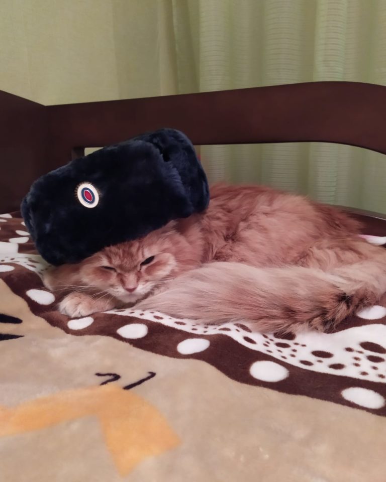 Олег Анисимов фото